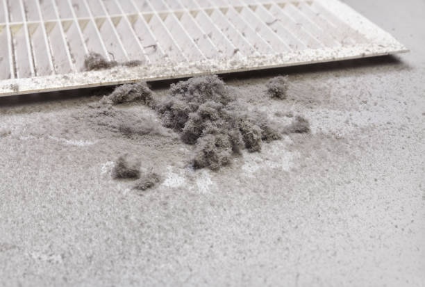 Best HVAC Air Duct Cleaning  in Oak Grove, MS