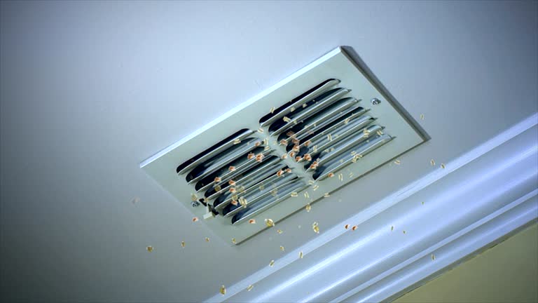 Best Affordable Duct Cleaning Services  in Oak Grove, MS